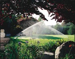 Sprinkler System In Use Landscape Picture